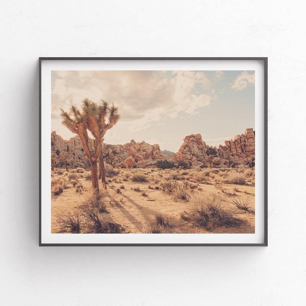 Desert Trip