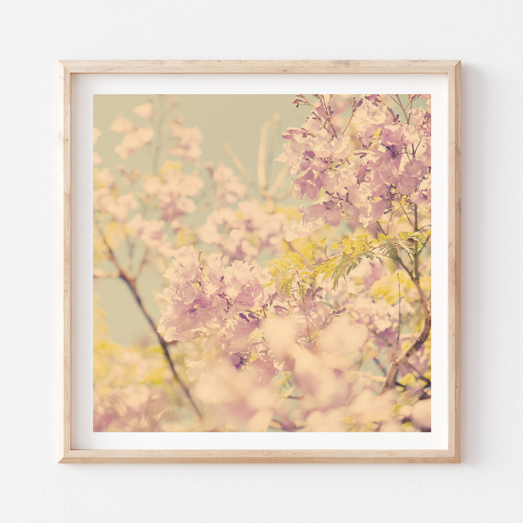 Los Angeles Blooms