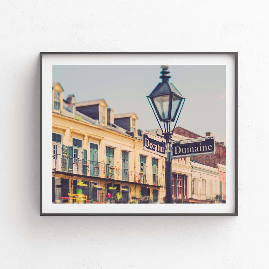 Rue de la leveé . New Orleans