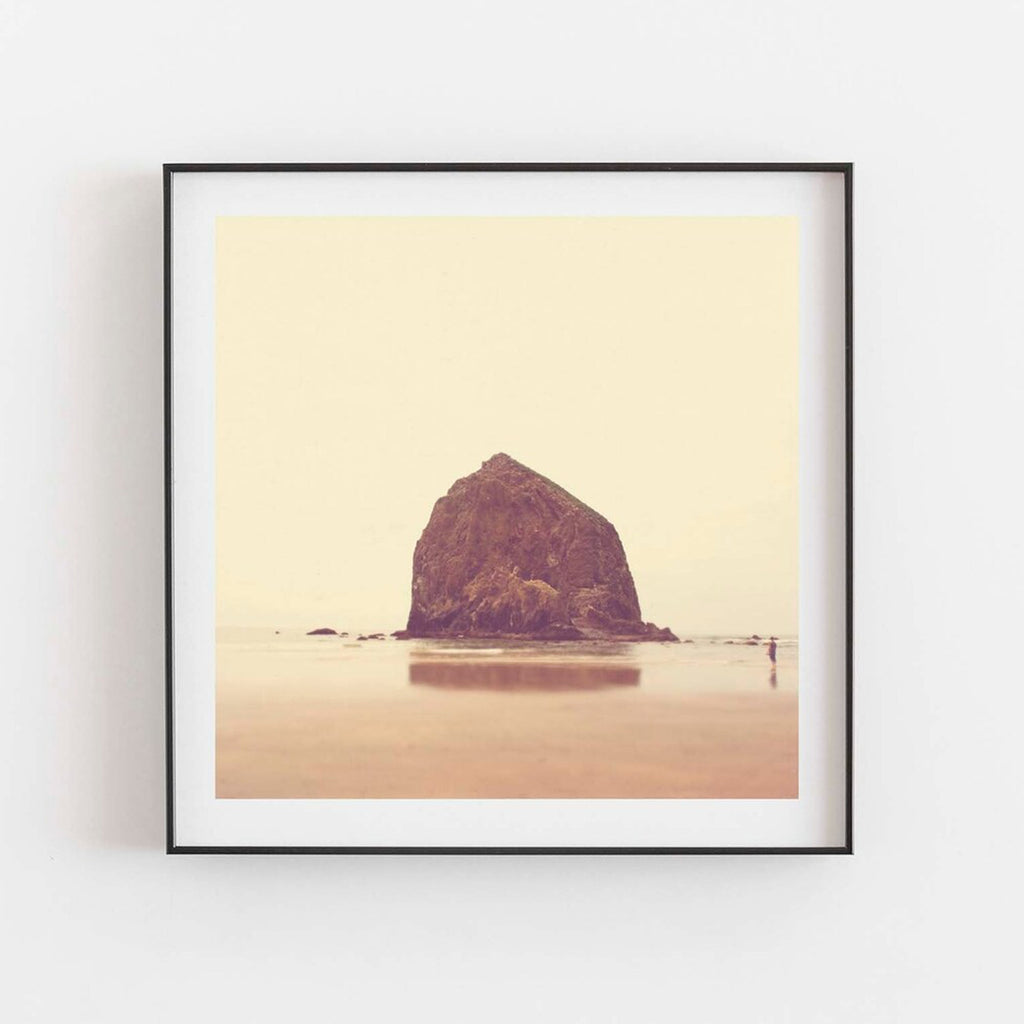 Scale. Cannon Beach, Oregon