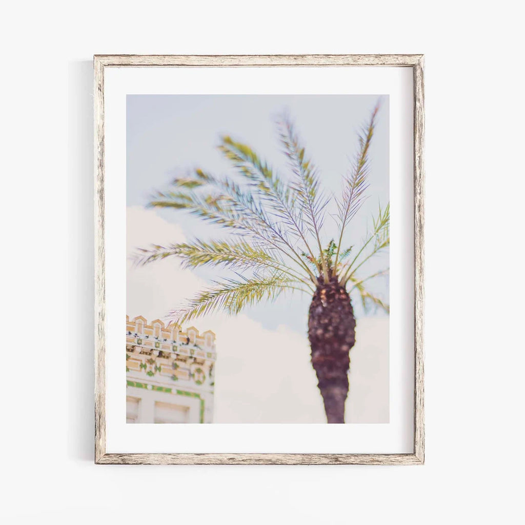 Southern Palms. New Orleans