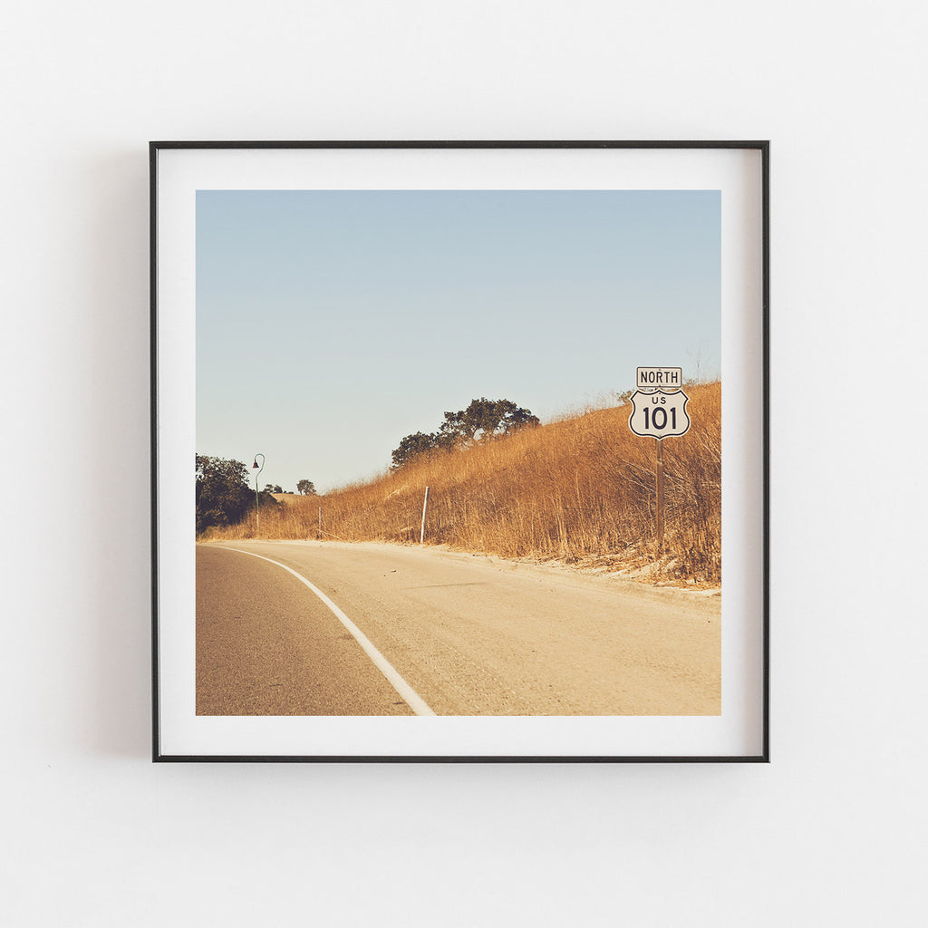The 101 N