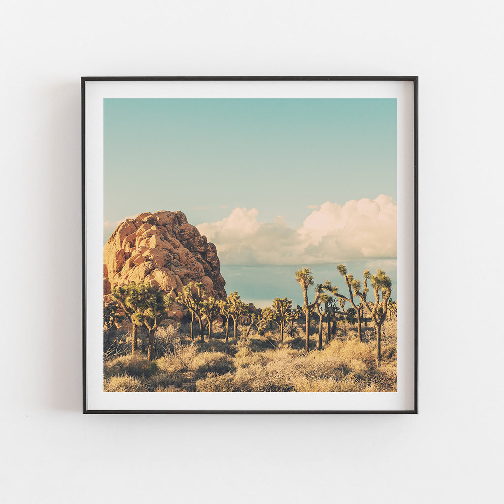 Wanderer No. 2