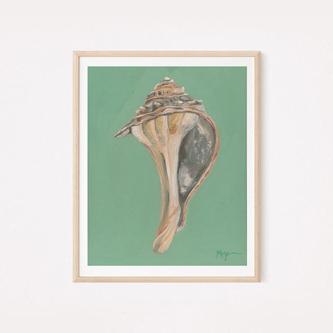 Whelk Shell. Limited Edition Fine Art Giclée Print