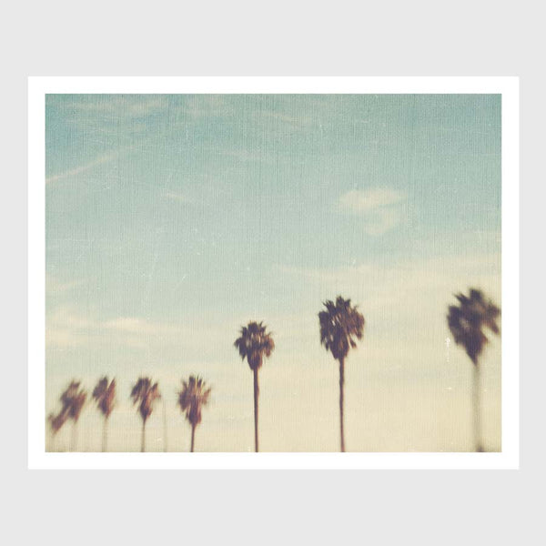 Blurred palm trees in a row photograph.