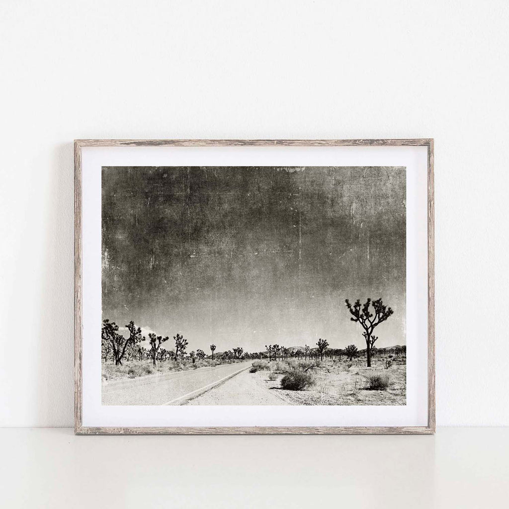 Desert