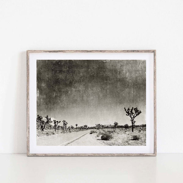 Desert