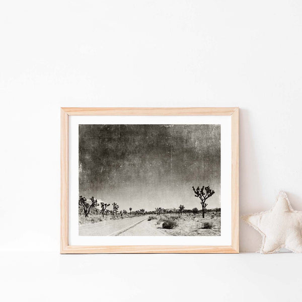 Desert