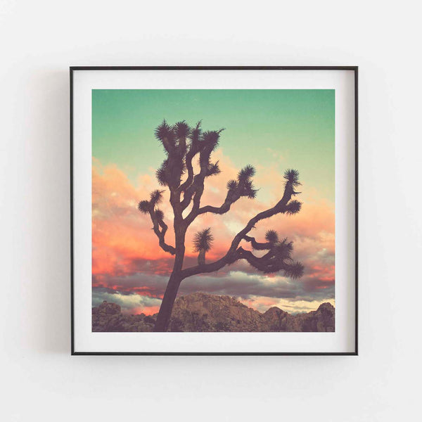 Desert Sunset