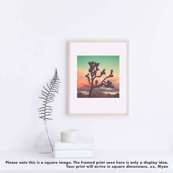 Desert Sunset