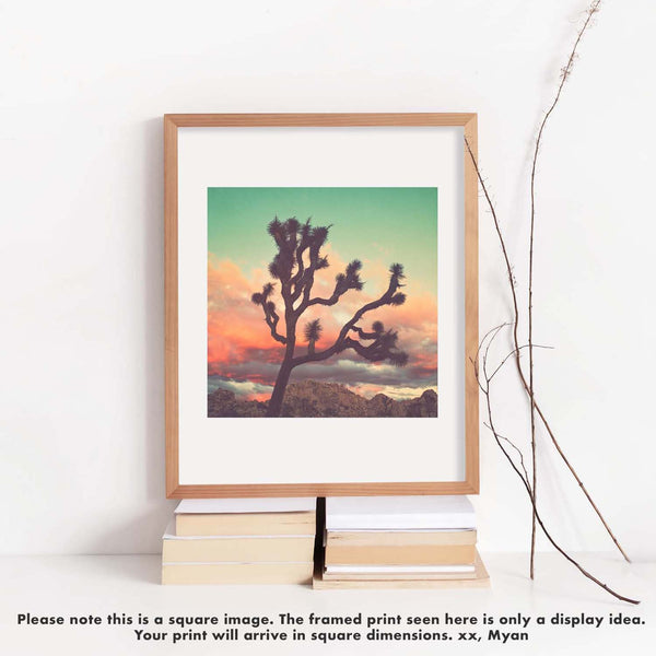 Desert Sunset