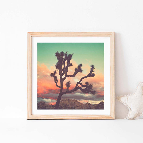 Desert Sunset