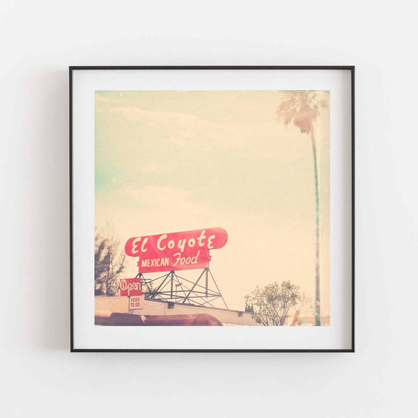 Framed el coyote print