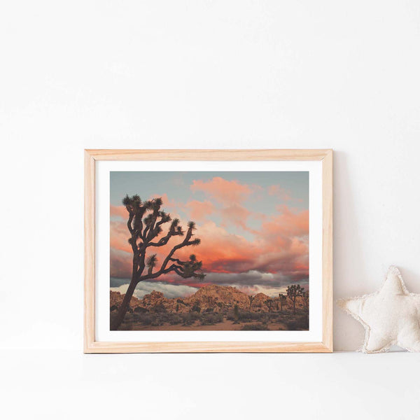 Joshua Tree Sunset