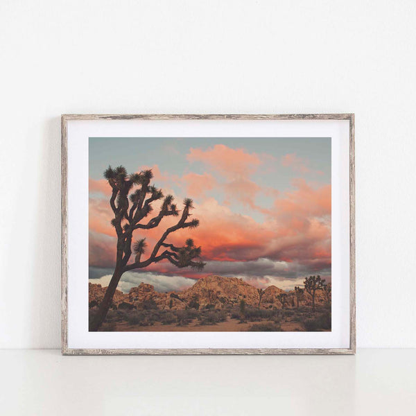 Joshua Tree Sunset