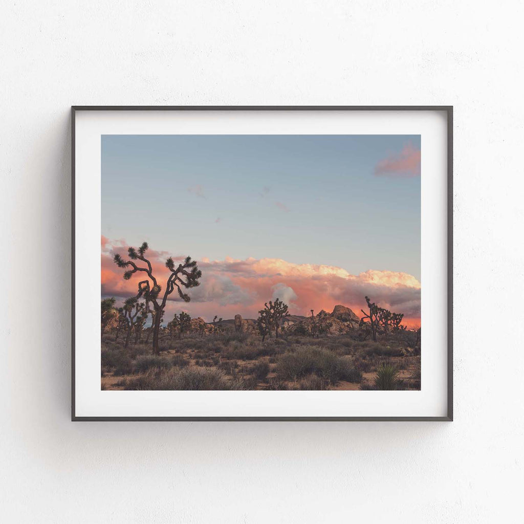 Joshua Tree Sunset No. 2