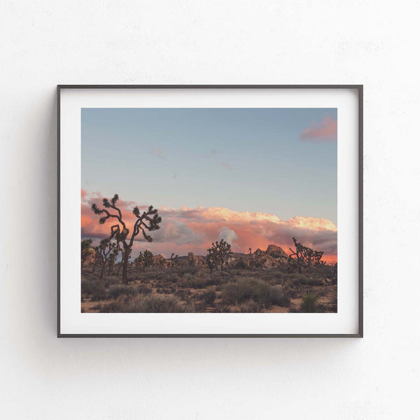 Joshua Tree Sunset No. 2
