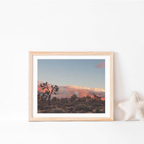 Joshua Tree Sunset No. 2