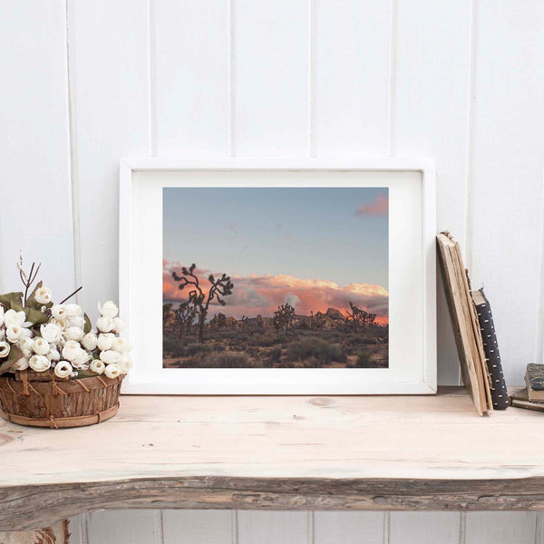 Joshua Tree Sunset No. 2