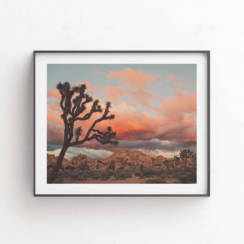 Joshua Tree Sunset