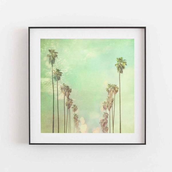 La La Land
