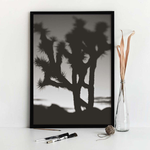 Last night I dreamt of the desert, No.1 B&W