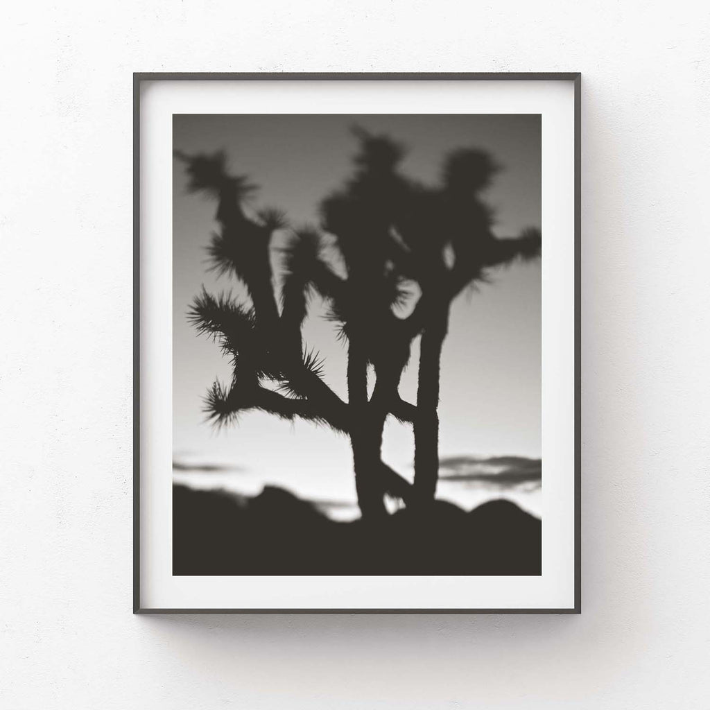 Last night I dreamt of the desert, No.1 B&W