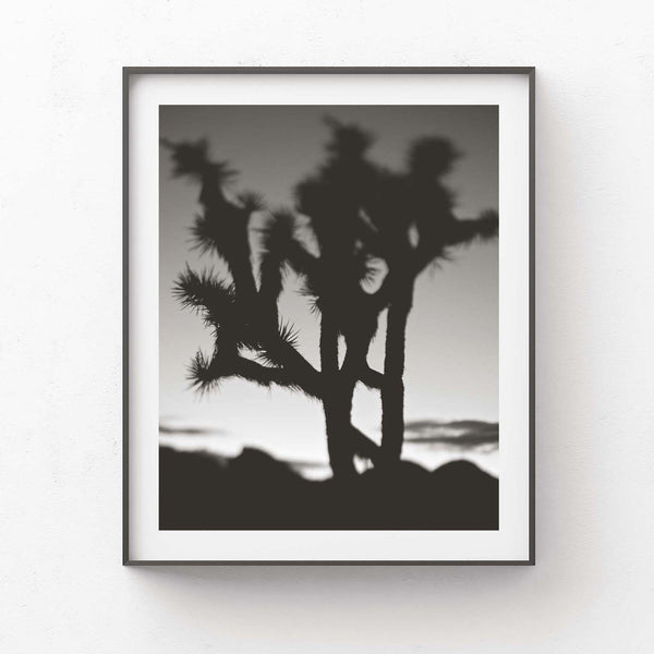 Last night I dreamt of the desert, No.1 B&W