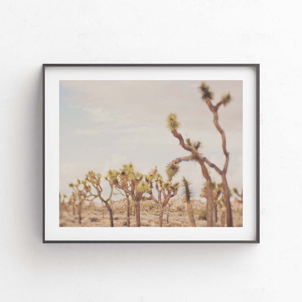 Last night I dreamt of the desert, No.3