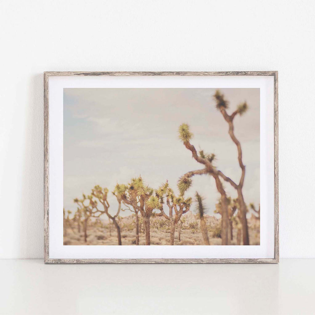Last night I dreamt of the desert, No.3