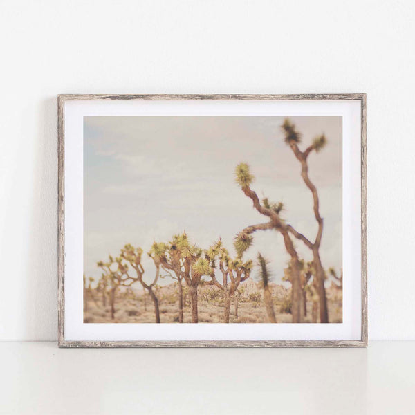Last night I dreamt of the desert, No.3