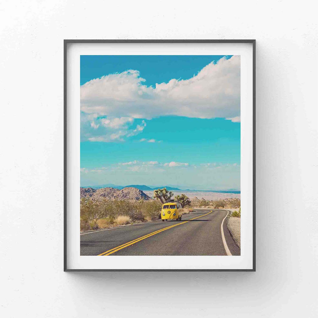 Open Road. Joshua Tree