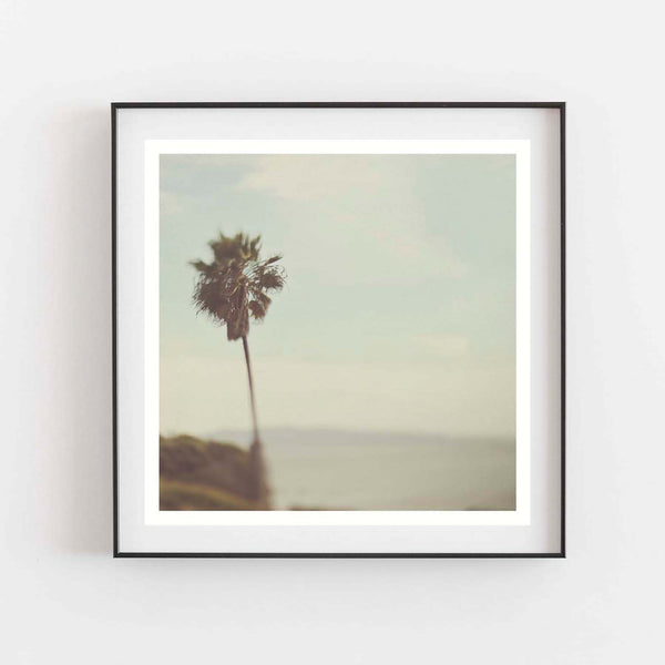 Palm Tree and Ocean. San Diego