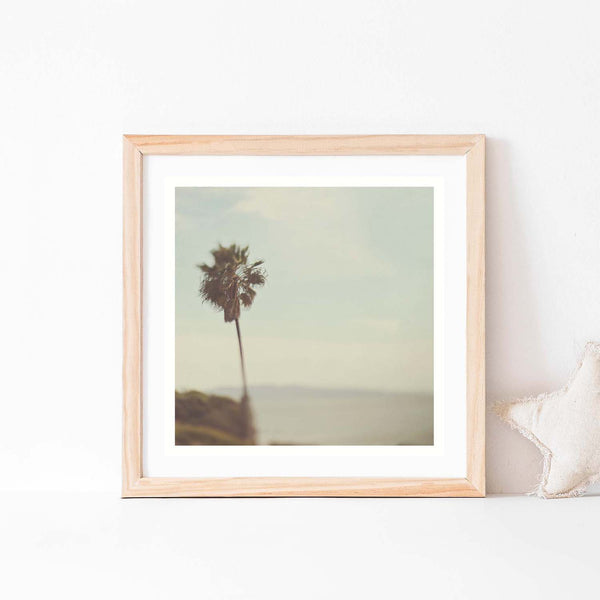 Palm Tree and Ocean. San Diego