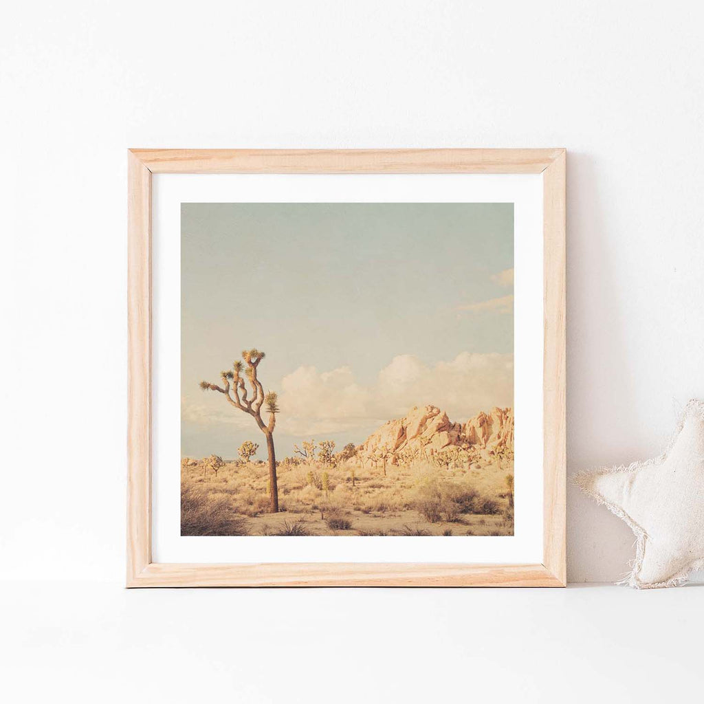 Winter in the Desert