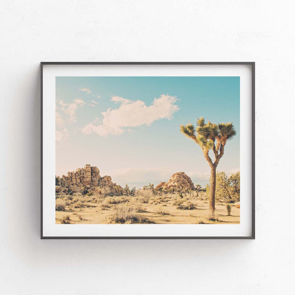 Winter in the Desert No. 3