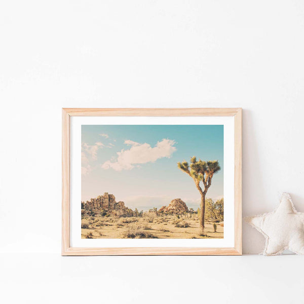 Winter in the Desert No. 3