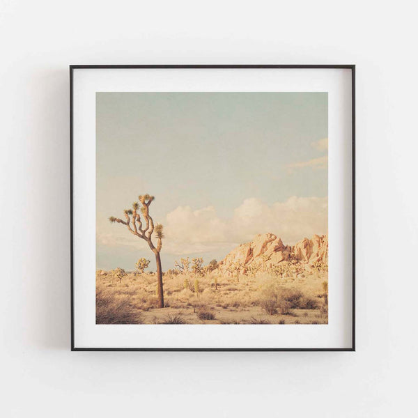 Winter in the Desert