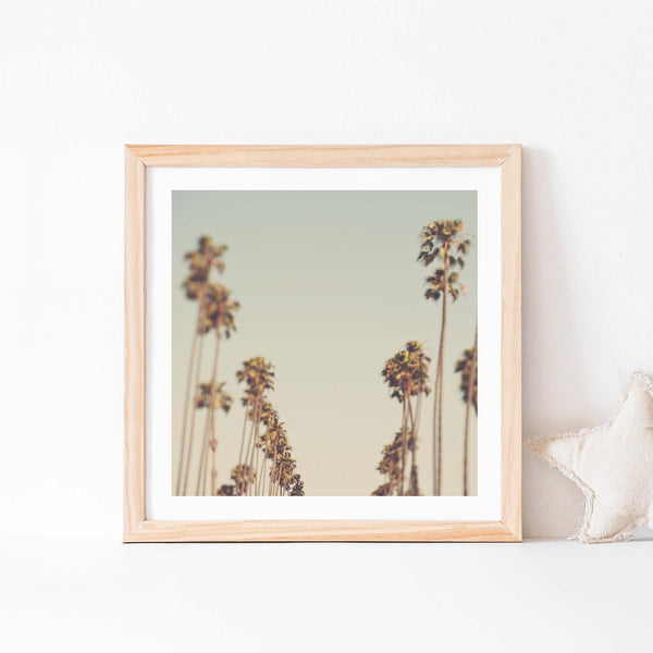 Framed LA nursery print of palm trees.