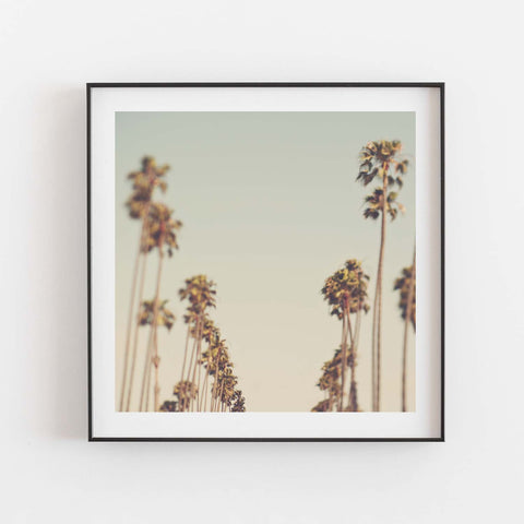 Framed LA palm trees photo. Dreamy blue green sky.