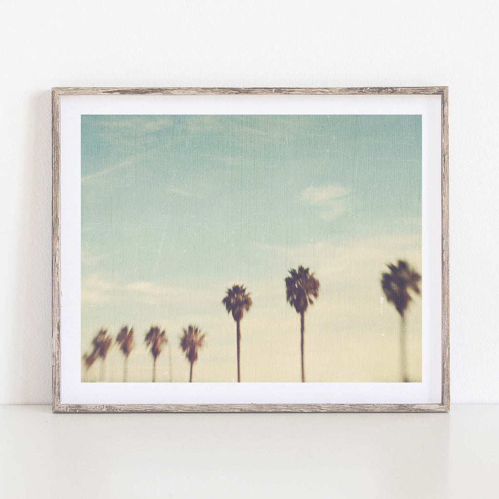 Dreamy LA palm trees photo print