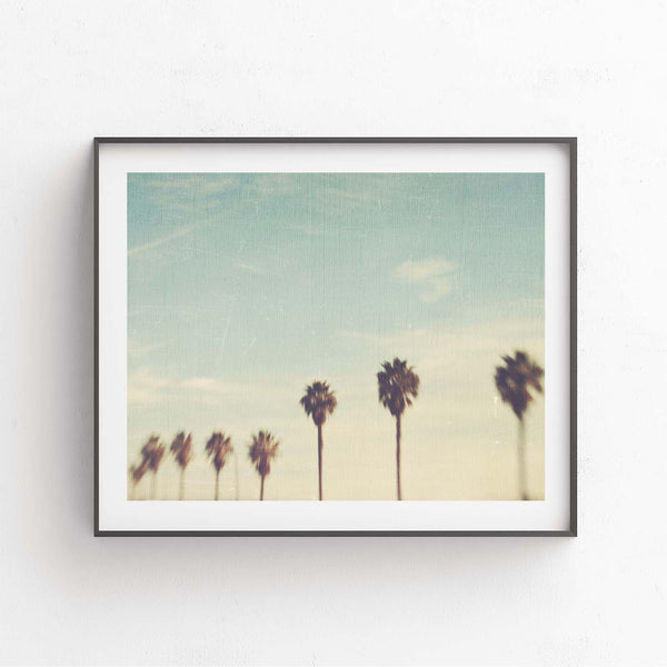 California palm trees photo, in a black frame.
